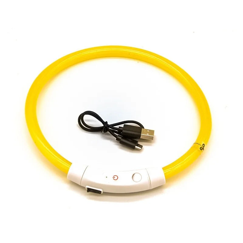 LED Light-Up Dog Collar – USB Rechargeable Anti-Lost Safety Collar